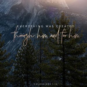 Meet your Posher, Krista